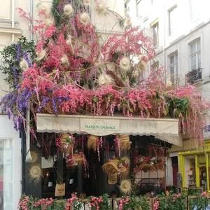 Meet your Posher, Catherine